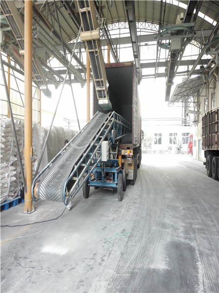 裝車輸送機(jī)